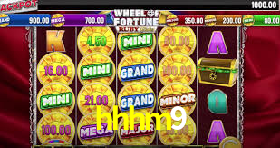 hhhm9.com